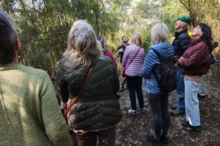 Birdwatching Workshop in Melbourne - Photo 1 of 6