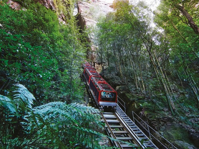 Blue Mountains Adventure Tour inc Scenic World, Harbour Ferry Cruise, Waterfalls and Sydney Zoo with FREE up-close Koala Digital Photo - Photo 1 of 20