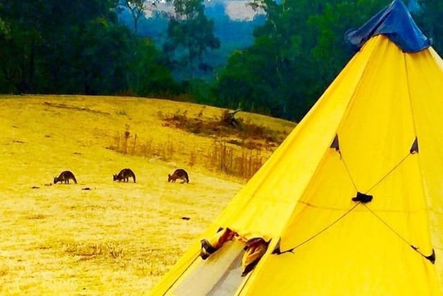 Blue Mountains Into The Wild Overnight Camping 4WD Off Road Wilderness Adventure - Photo 1 of 11