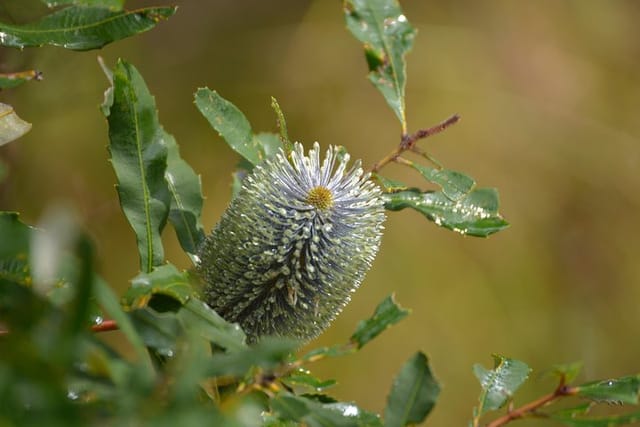 Brisbane's Photography Course For Beginners - Photo 1 of 4