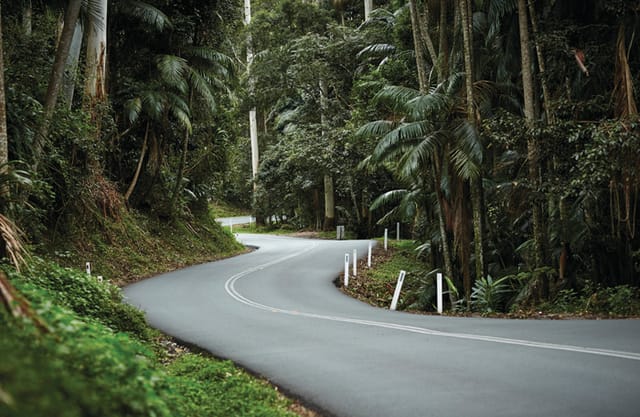 brisbane-to-tamborine-mountain-shuttle-service_1