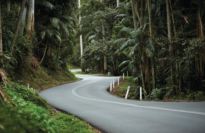 Brisbane to Tamborine Mountain Shuttle Service - Photo 1 of 11