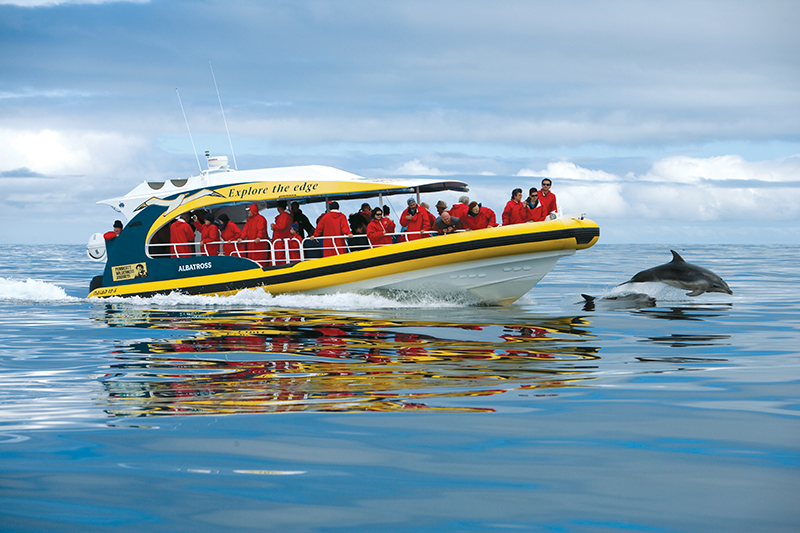 Bruny Island Cruises Full Day Tour from Hobart - Photo 1 of 4