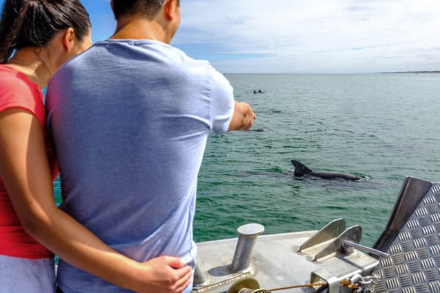 Dolphin Discover Centre Bunbury Dolphin Eco Cruise - Photo 1 of 7