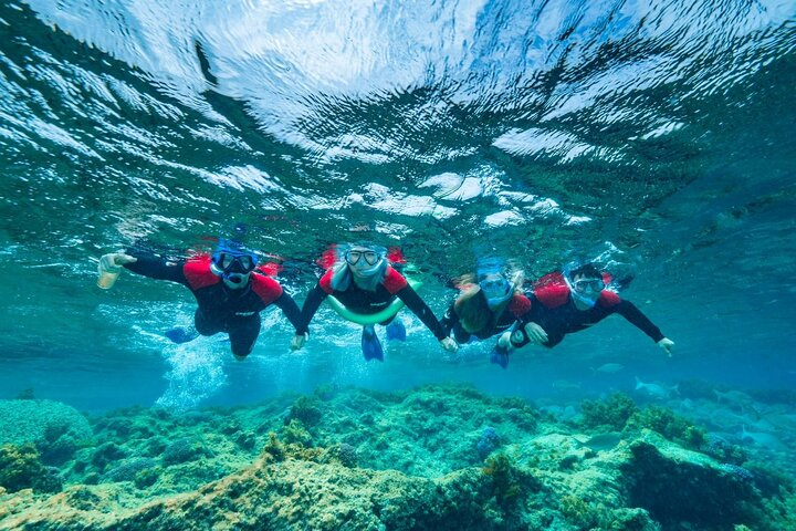  Busselton Jetty and Underwater Sculptures Snorkel Boat Tour - Photo 1 of 7