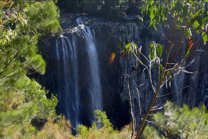 Minyon Falls in Nightcap NP/Users/tom/Desktop/Desktop/Images BDO/IMG_4256.jpg
