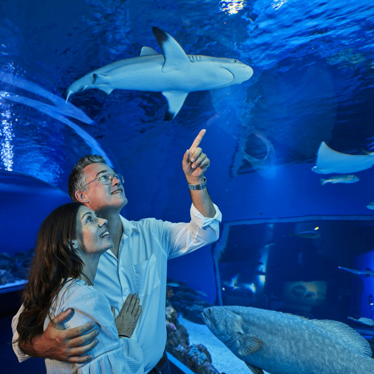 Cairns Aquarium: Night Entry + 2-Course Dinner - Photo 1 of 3