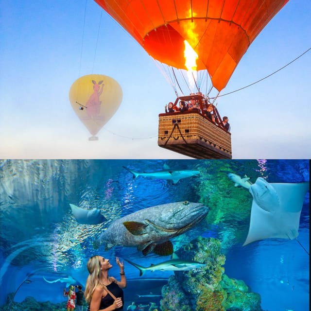 cairns-classic-hot-air-balloon-flight-free-cairns-aquarium-entry_1