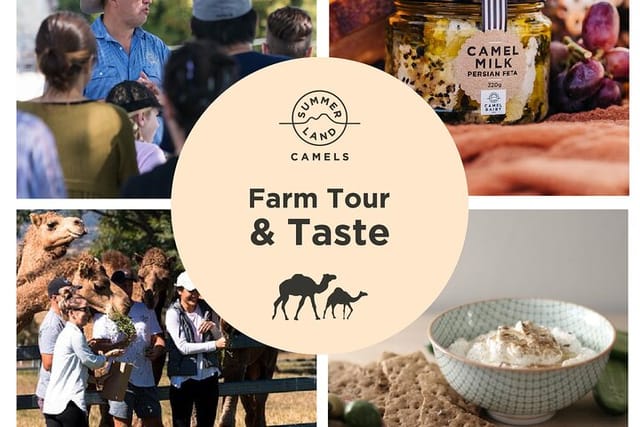 camel-farm-tour-and-taste_1