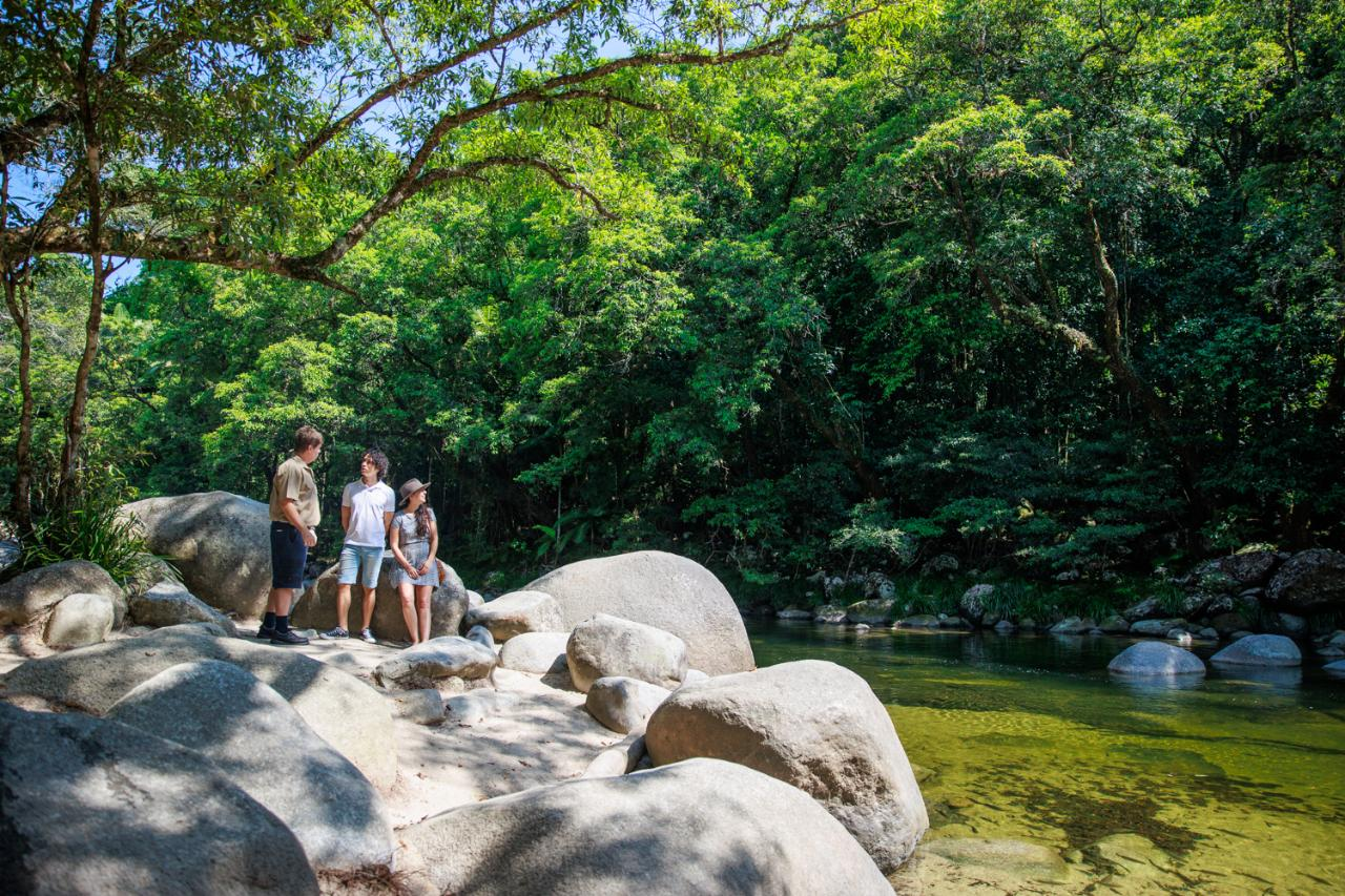 Cape Tribulation, Daintree & Mossman Gorge (includes lunch) - Photo 1 of 9