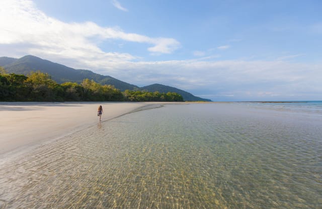 Cape Tribulation and Daintree Rainforest Wilderness Tour - Photo 1 of 5