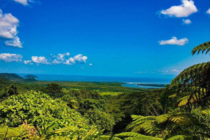 Cape Trib Connections - Day Tour