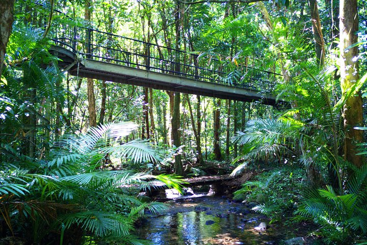 Daintree Rainforest at Mossman Gorge