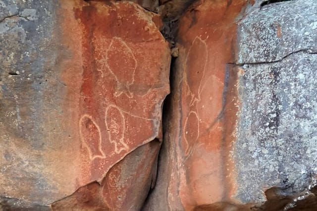 Cowan Creek Lunch paddle with Aboriginal rock art - Photo 1 of 2