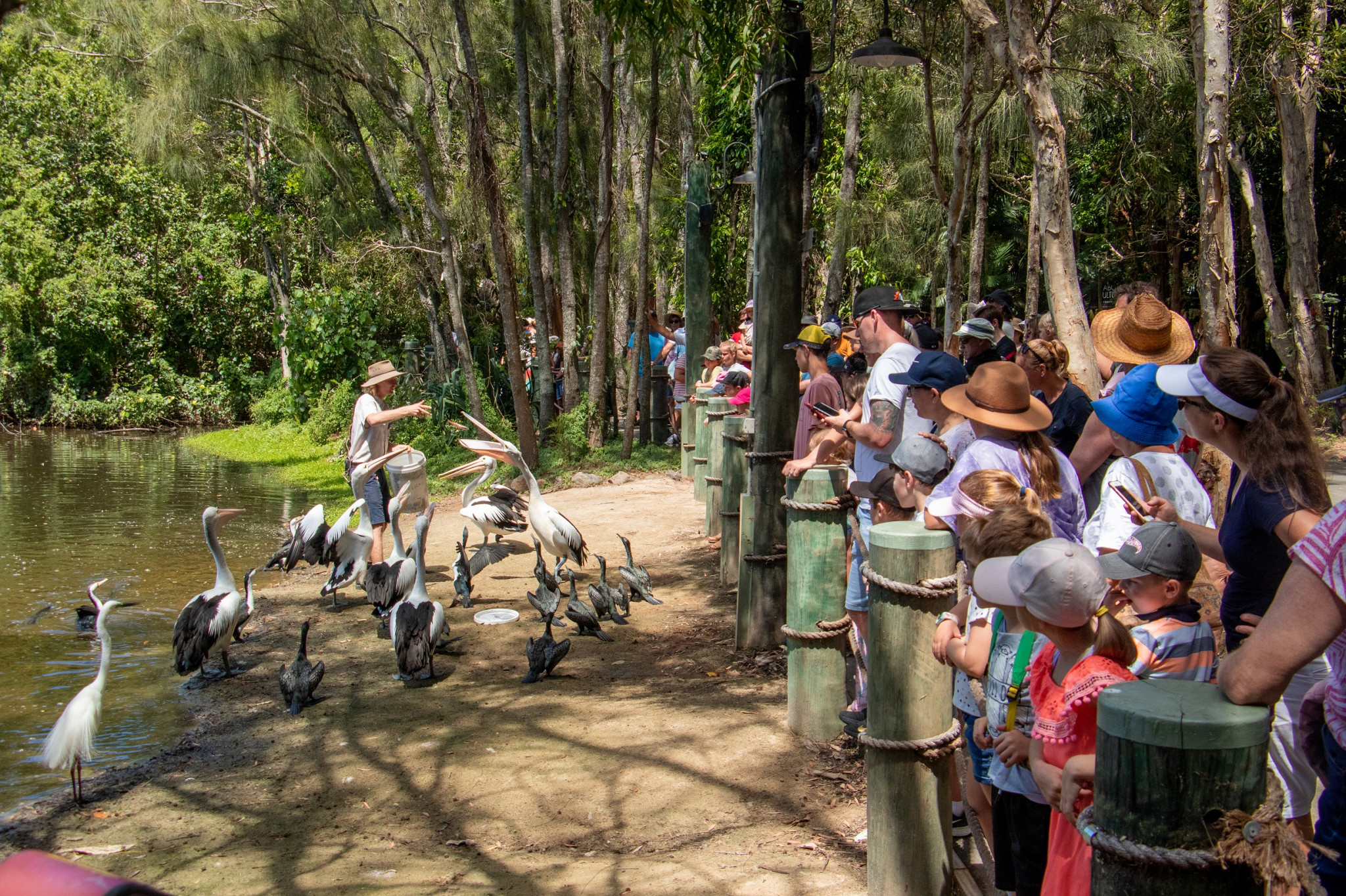 Currumbin Wildlife Sanctuary Qld