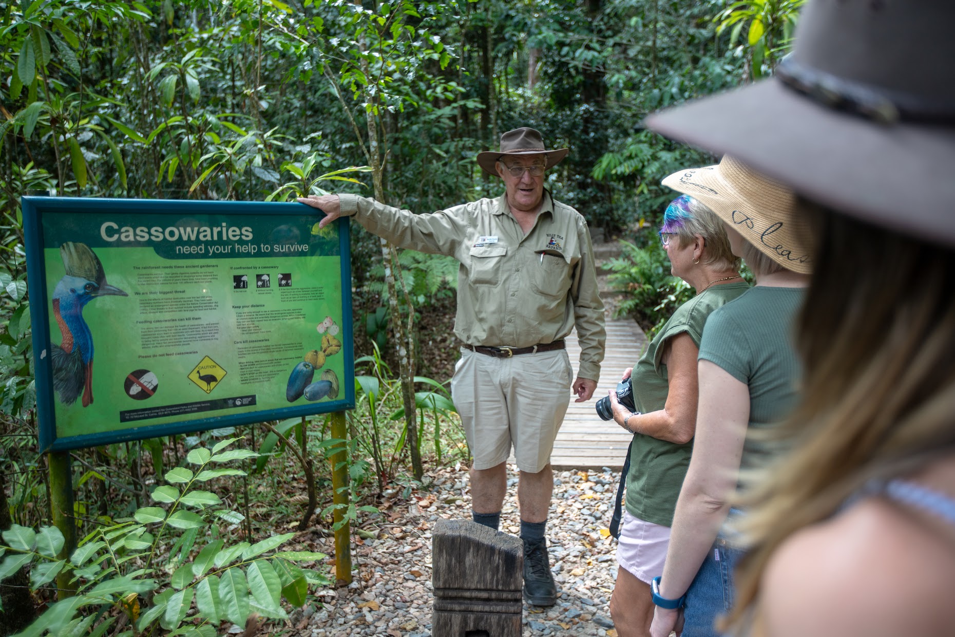 Daintree Rainforest, Cape Tribulation Tour from Cairns - Photo 1 of 10