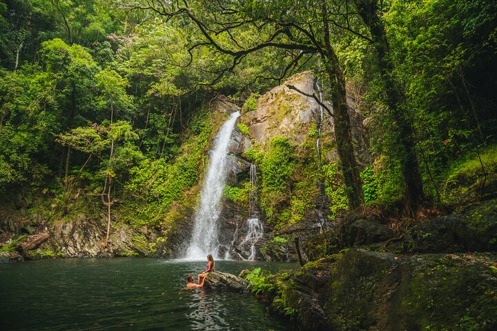 Daintree Sensations  - Photo 1 of 10