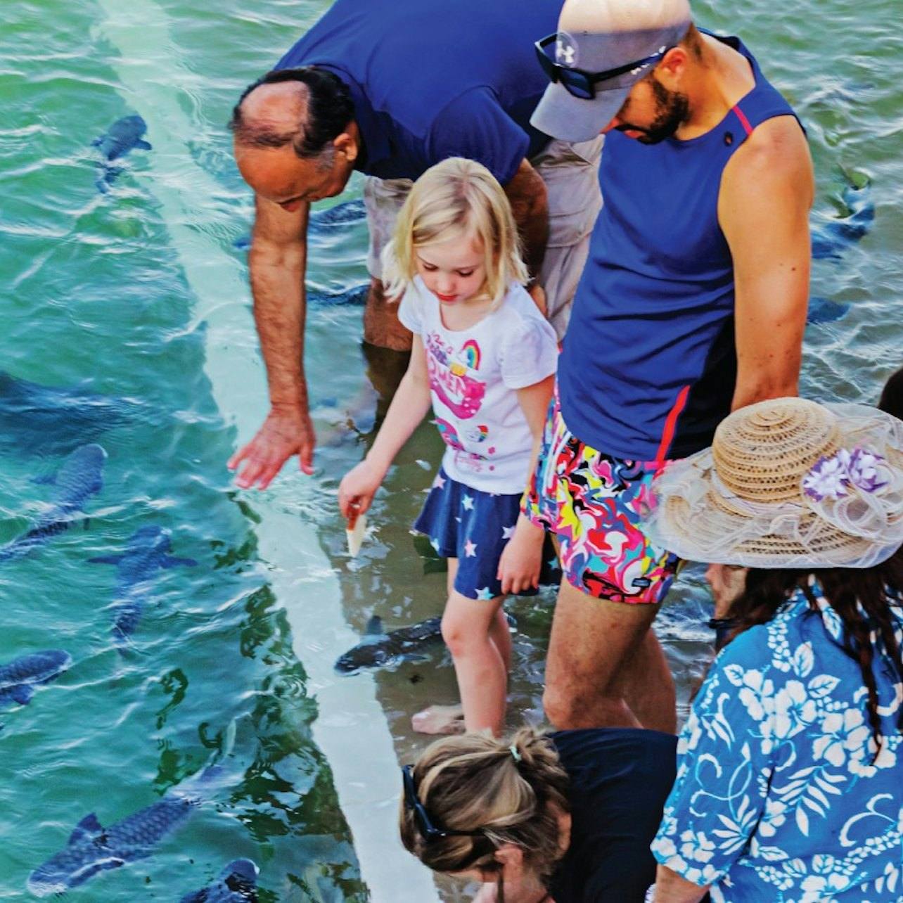 Darwin: Aquascene Guided Fish Feeding Experience - Photo 1 of 4