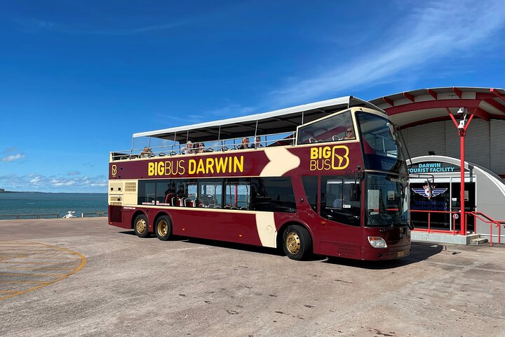 Darwin Shore Excursion: Hop-on Hop-off Bus Tour - Photo 1 of 17