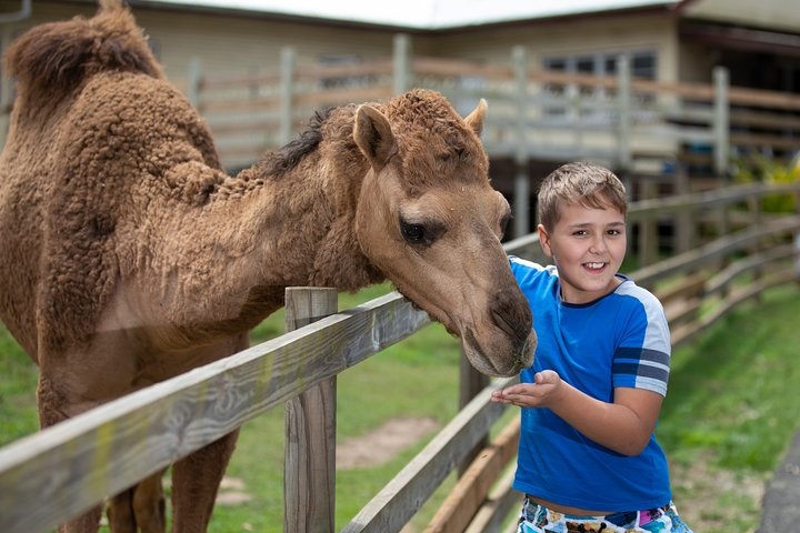 White Ridge Farm Day Entry ticket - Photo 1 of 7