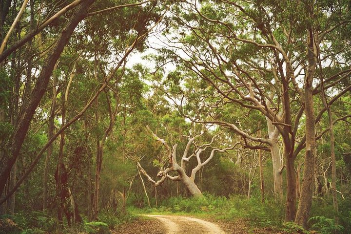 Sydney National Park