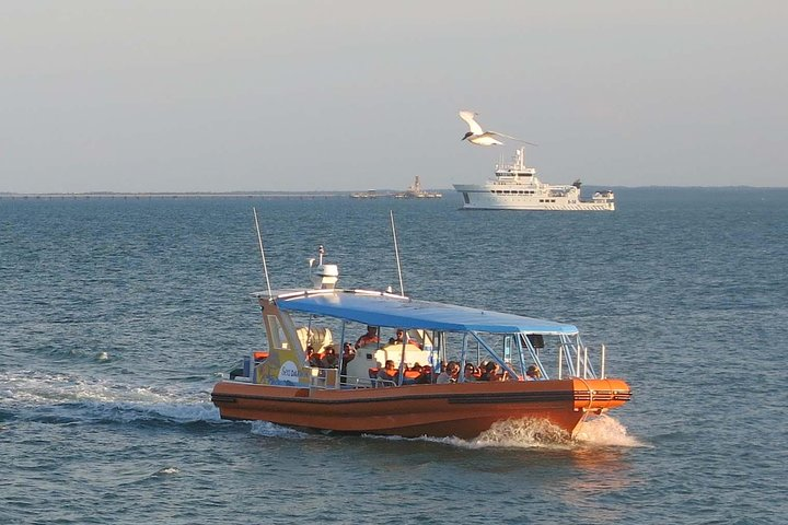 Cruising Darwin Harbour