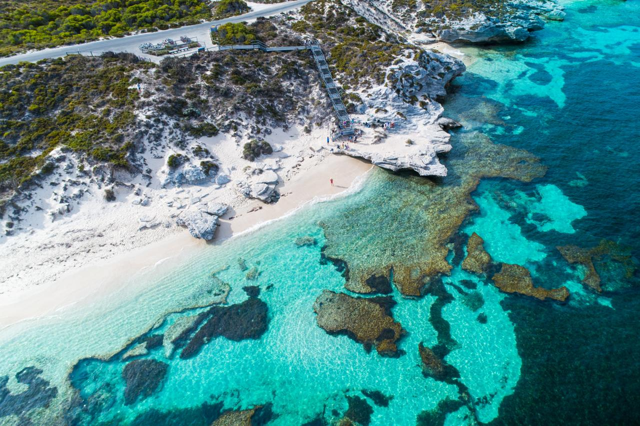 Discover Rottnest Ferry & Bus Tour (ex Perth) - Photo 1 of 5