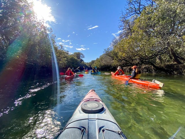 Dolphin Sanctuary & Ships Graveyard Kayak Tour (up to 3 hours) - Photo 1 of 16