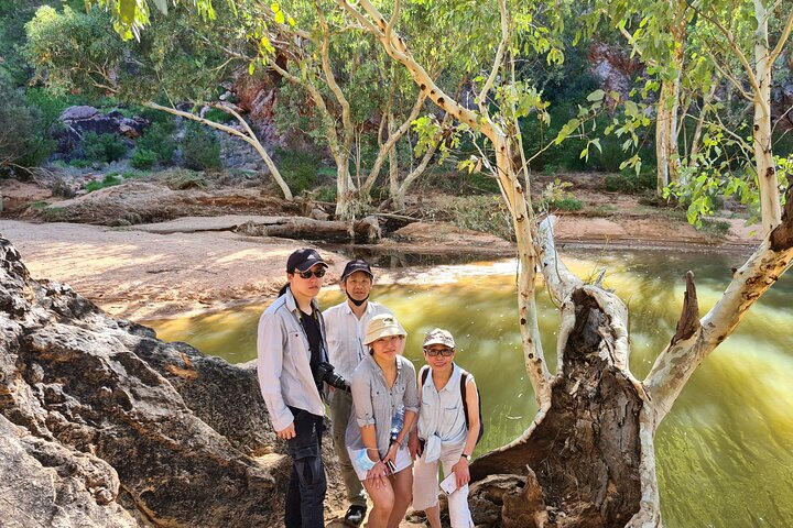 East MacDonnell Ranges Half day Tour -Small Group - Photo 1 of 2