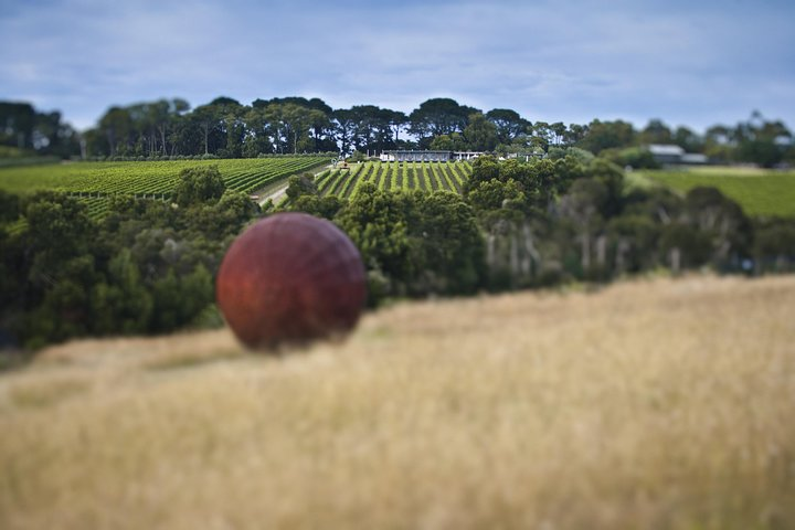 Montalto Vineyard and Sculpture Walk