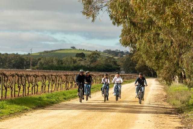 Ride through the vines in the Barossa Valley