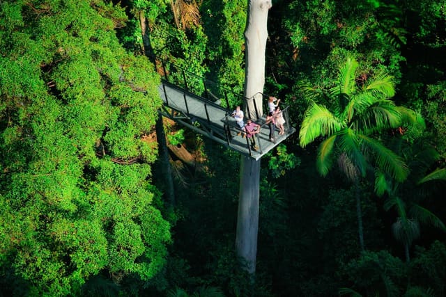 Explore Mt Tamborine - Gold Coast Departure - Photo 1 of 6