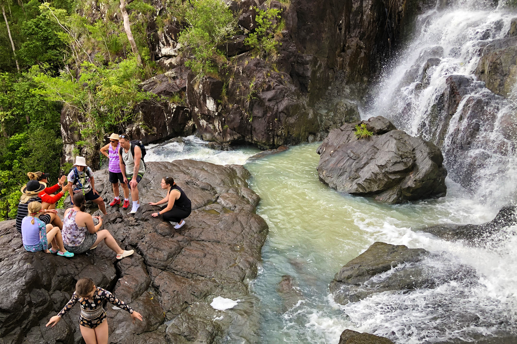 Cedar Creek Falls to Paradise Tour with Gourmet Lunch - Photo 1 of 7