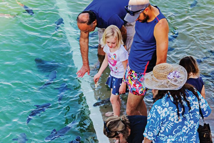 Fish Feeding Activity in Darwin - Photo 1 of 6