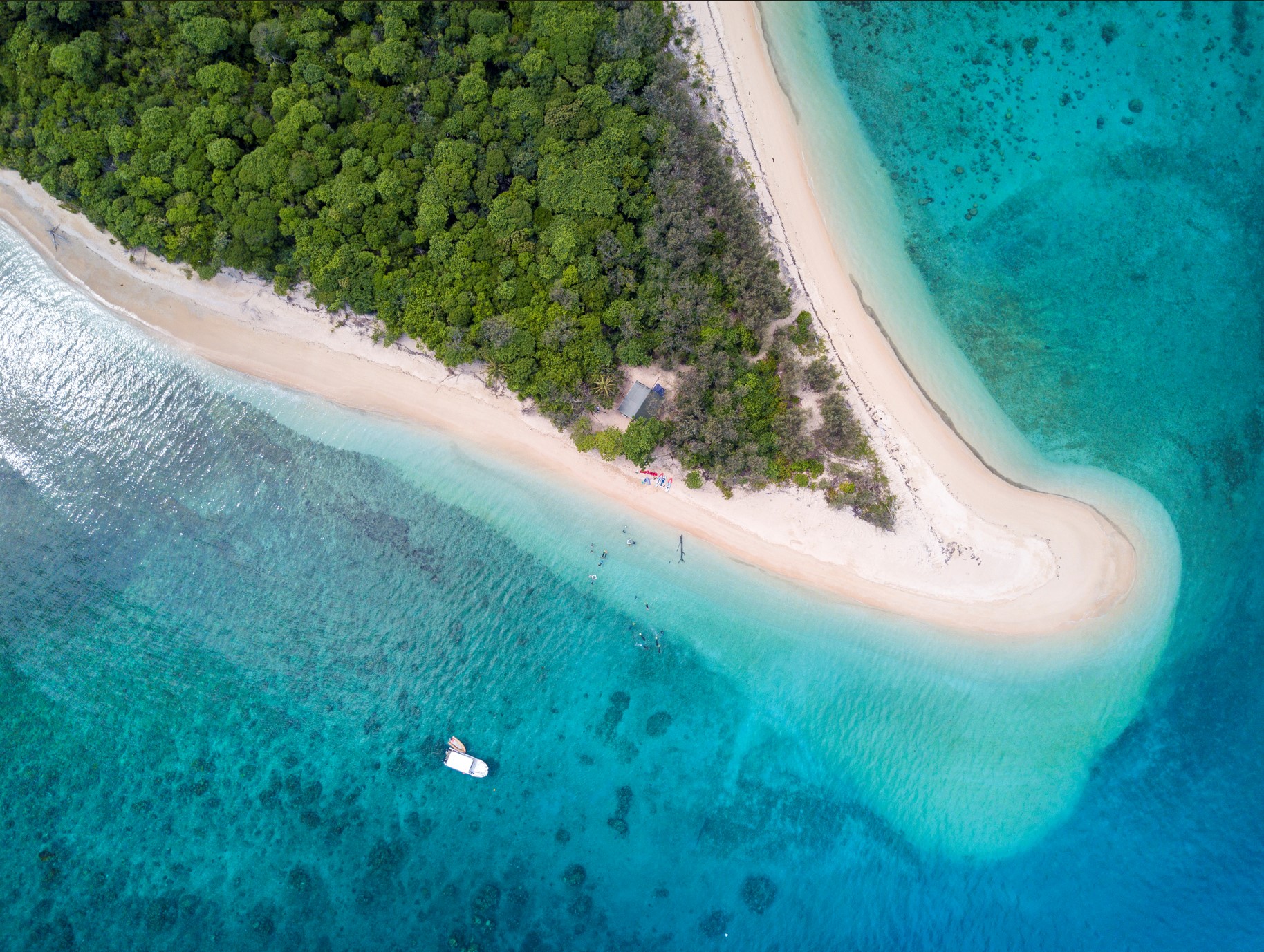 Frankland Islands Reef, Forest, Cruise and Snorkel Tour - Photo 1 of 11