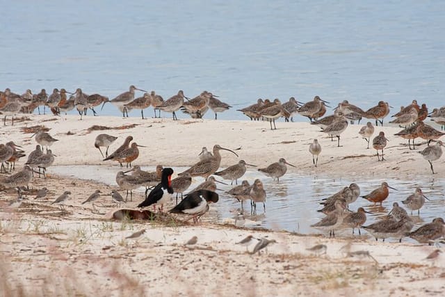 Kakadu Beach