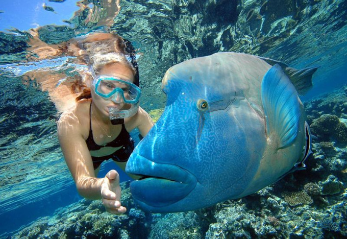 Great Barrier Reef Cruise Tour with Reef Magic Pontoon - Photo 1 of 5