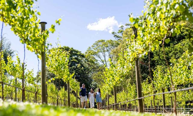 premium-full-day-mount-tamborine-winery-tour-gold-coast-pickup_1