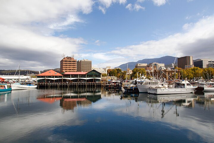 Full Day Private Shore Tour in Hobart from Hobart Cruise Port - Photo 1 of 8