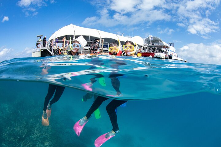 Great Barrier Reef Adventure from Cairns including Snorkeling - Photo 1 of 8