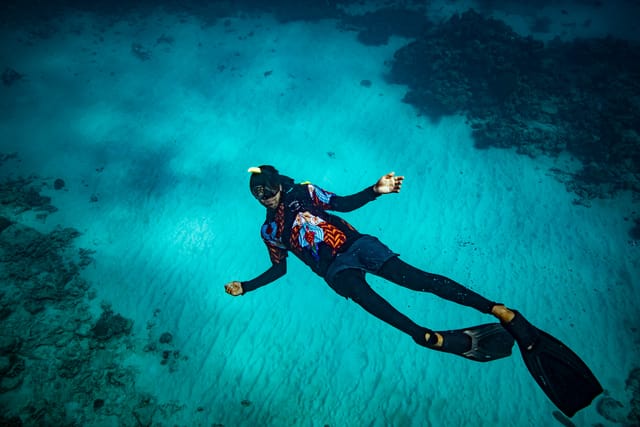 Guided Snorkel Tour with Buffet Lunch, Fish Feeding, Native Bush Tasting | Great Barrier Reef Cruise | Cairns Reef Fleet Terminal | Queensland | Australia | Pelago