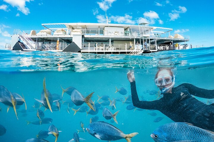 Great Barrier Reef Day Cruise to Reefworld - Photo 1 of 10