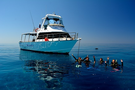 Great Barrier Reef Day Trip - Certified Diver - Photo 1 of 3