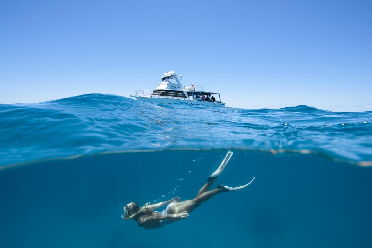 Great Barrier Reef Day Trip - Snorkeling - Photo 1 of 3