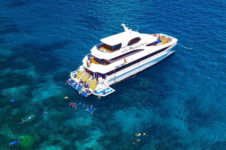 Great Barrier Reef Snorkeling and Diving Cruise from Cairns - Photo 1 of 25