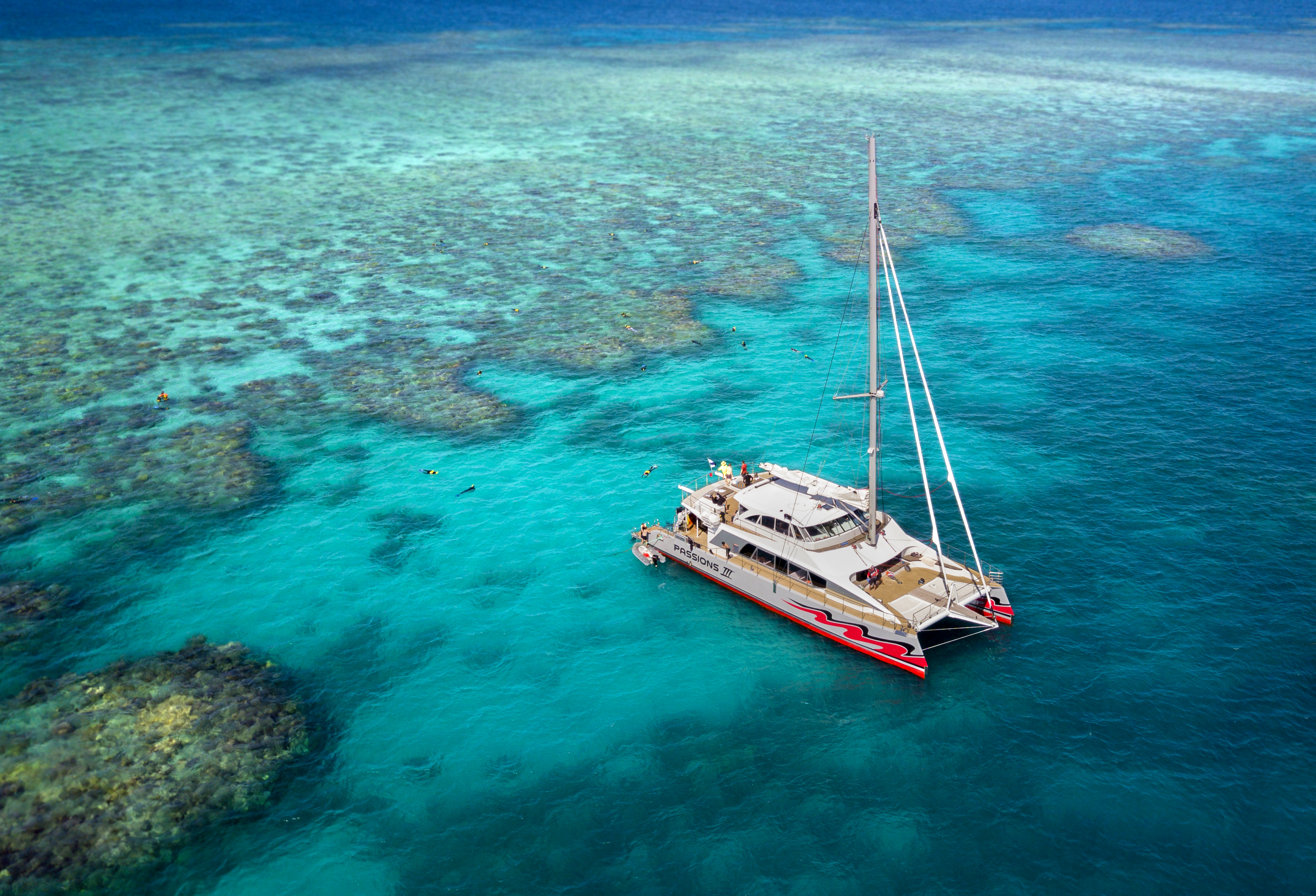 Great Barrier Reef Snorkel or Dive Tour on a Catamaran - Photo 1 of 10