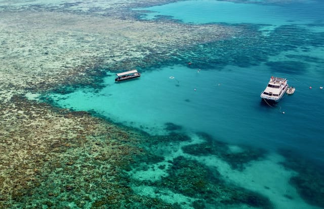 Great Barrier Reef Tour and Upolu Cay Reef Cruise - Photo 1 of 6