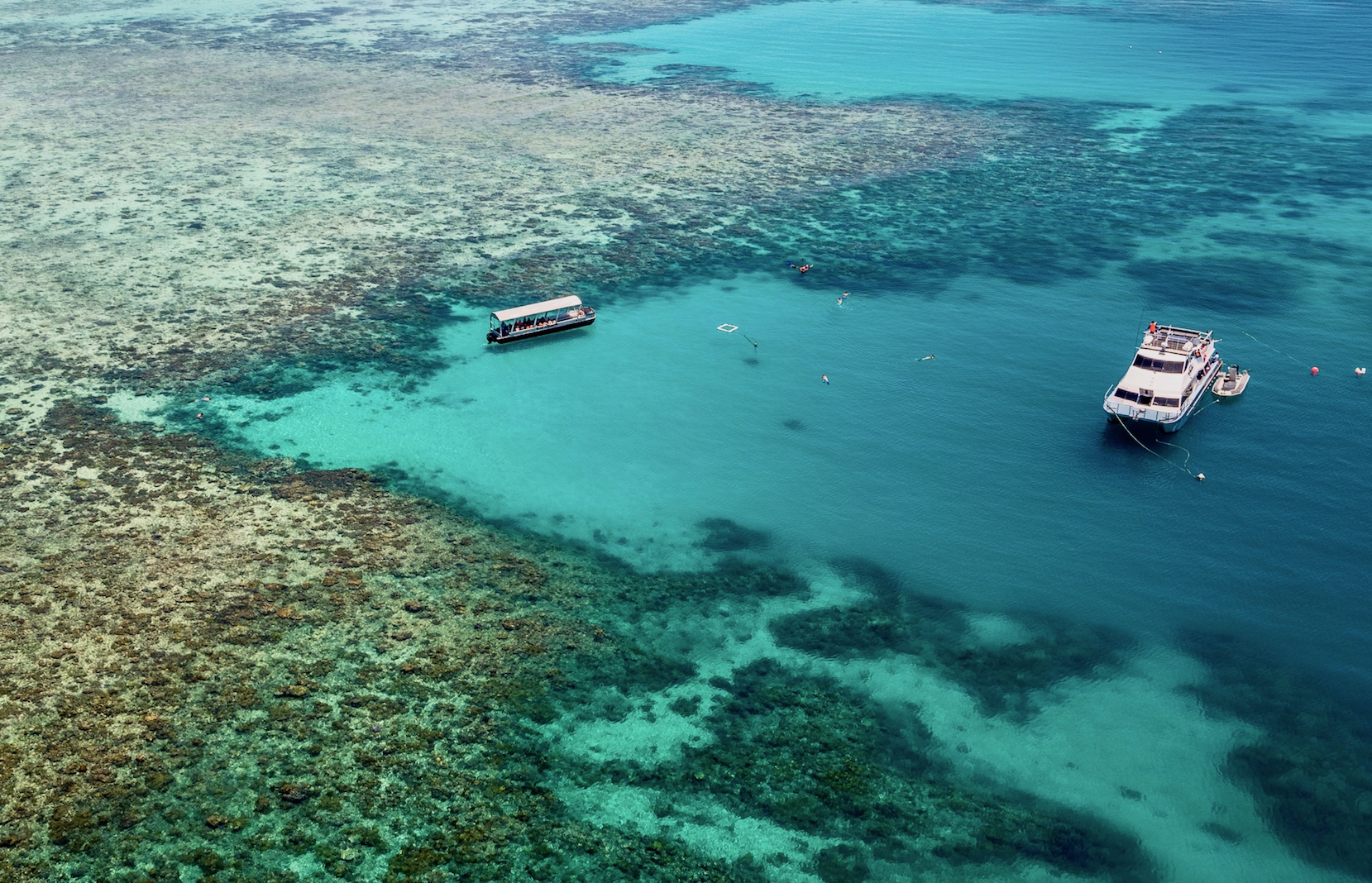 Great Barrier Reef Tour and Upolu Cay Reef Cruise - Photo 1 of 6