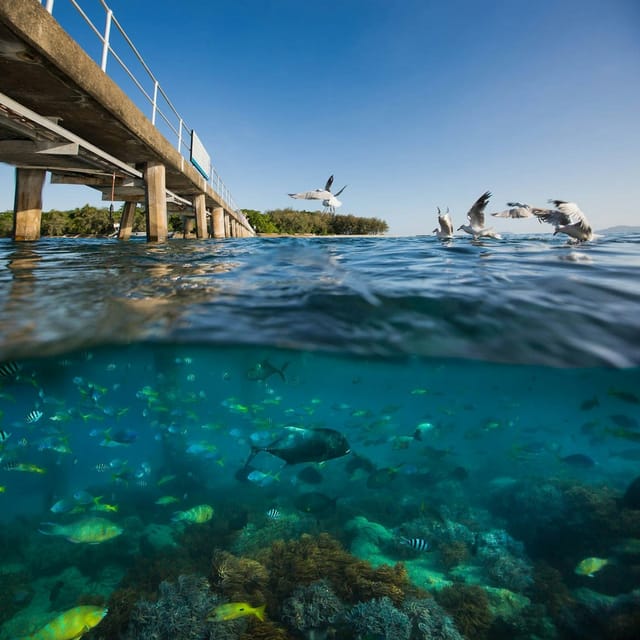 green-island-ferry-transfer_1