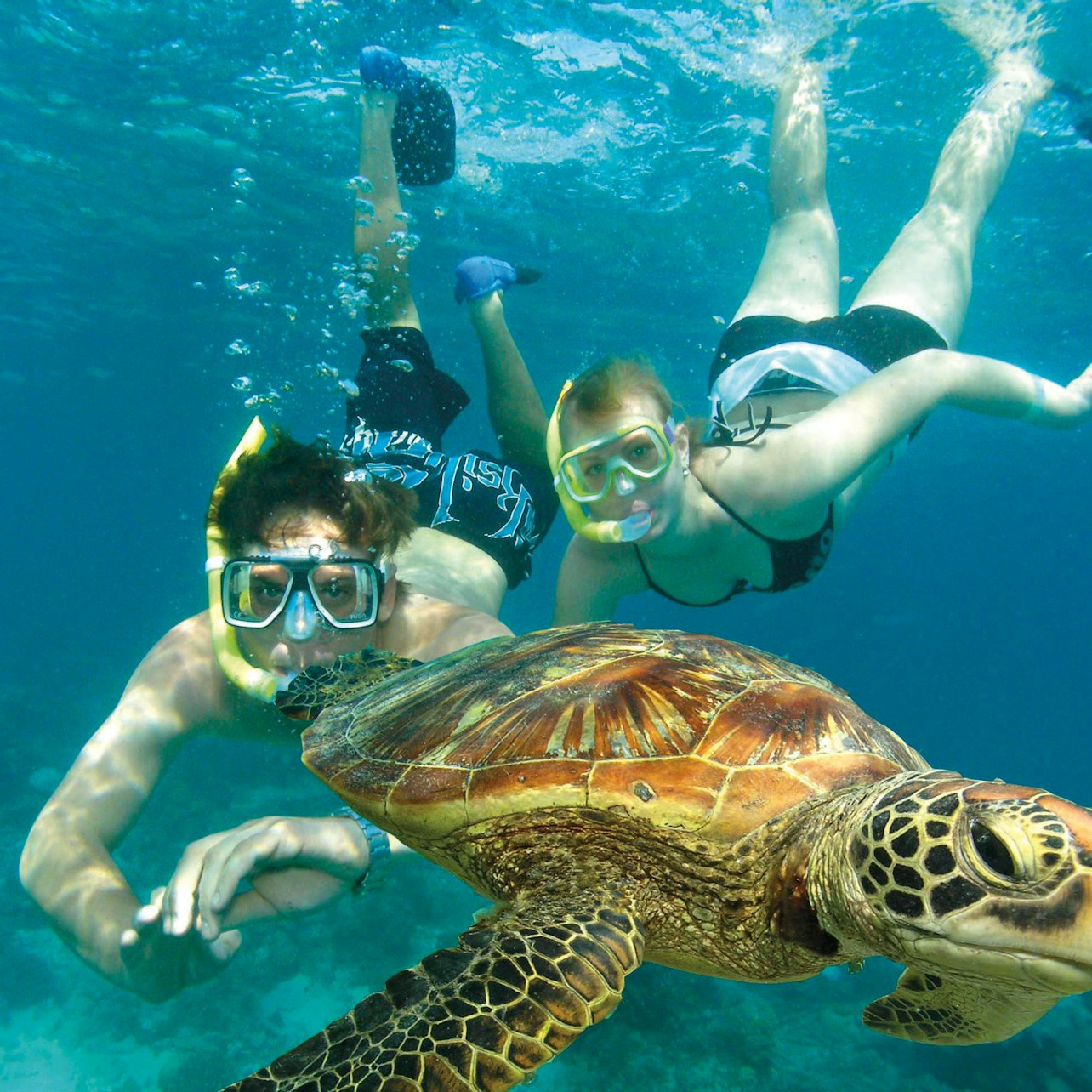 Green Island Tour: Catamaran Cruise from Cairns - Photo 1 of 7